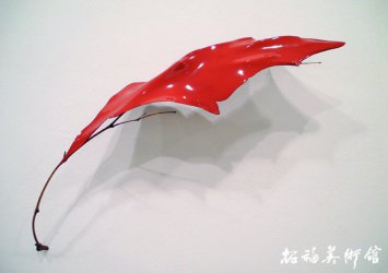 《漂移中的枝羽》
